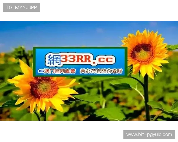 利用BG视讯官网的优惠活动和奖励机制,提升您的游戏盈利率与娱乐满意度 利用BG视讯官网的优惠活动和奖励机制,提升您的游戏盈利率与娱乐满意度
